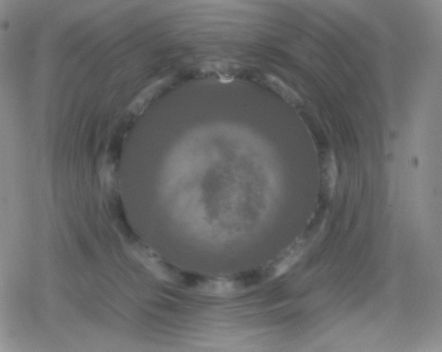 X0000079320276200612081942