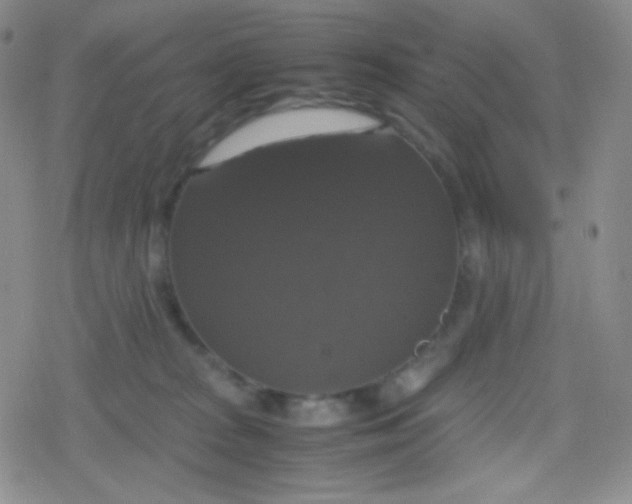 X0000079320277200612081942