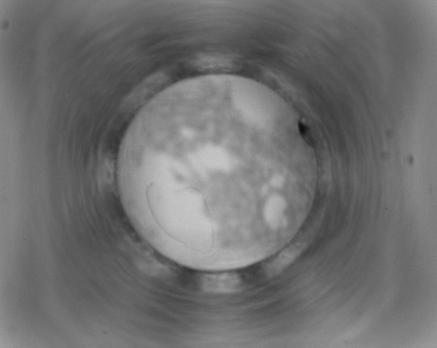 X0000079320281200612081942