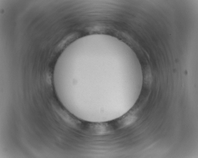 X0000079320282200612081942