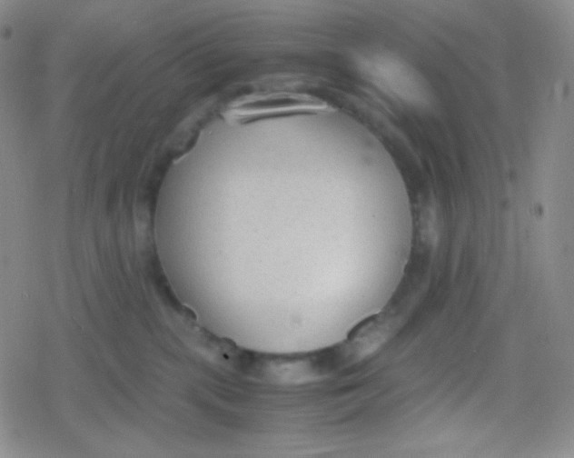 X0000079320283200612081942