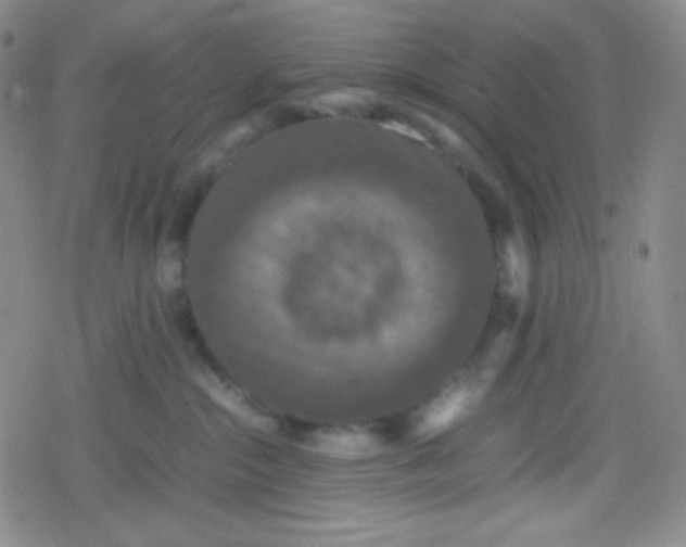 X0000079320284200612081942