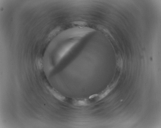 X0000079320285200612081942