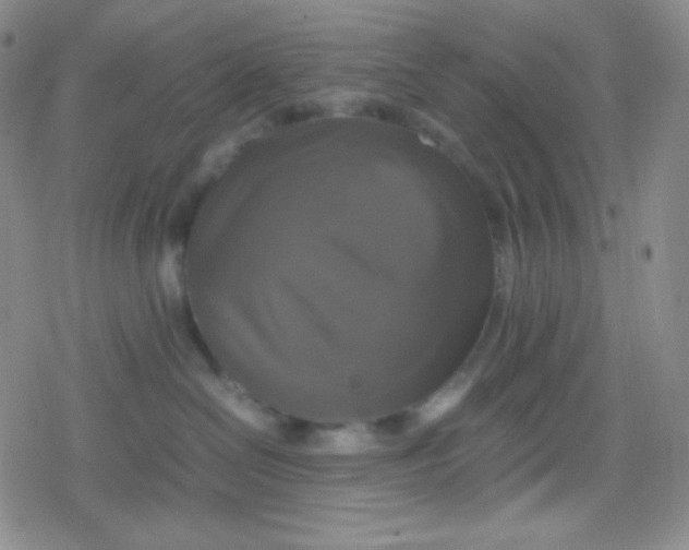 X0000079320286200612081942