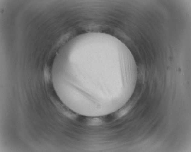 X0000079320287200612081942