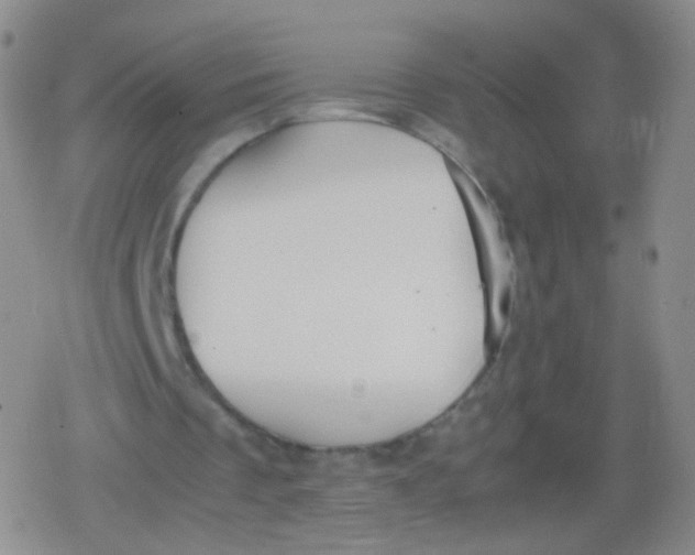 X0000079320289200612081941