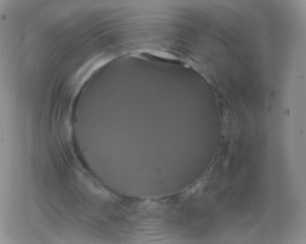 X0000079320290200612081941