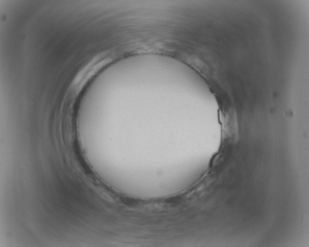 X0000079320291200612081941