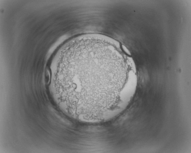 X0000079320292200612081941