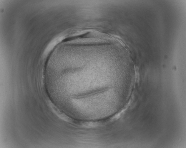 X0000079320293200612081941