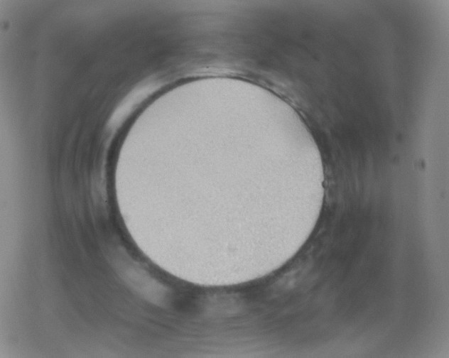 X0000079320296200612081941