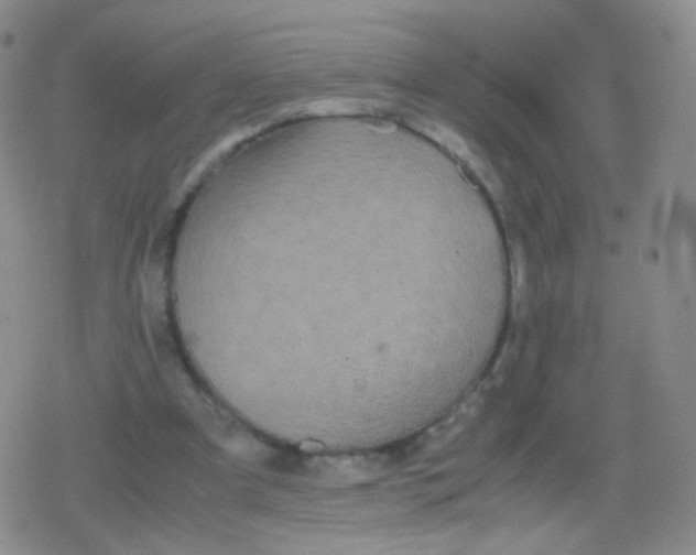 X0000079320297200612081941