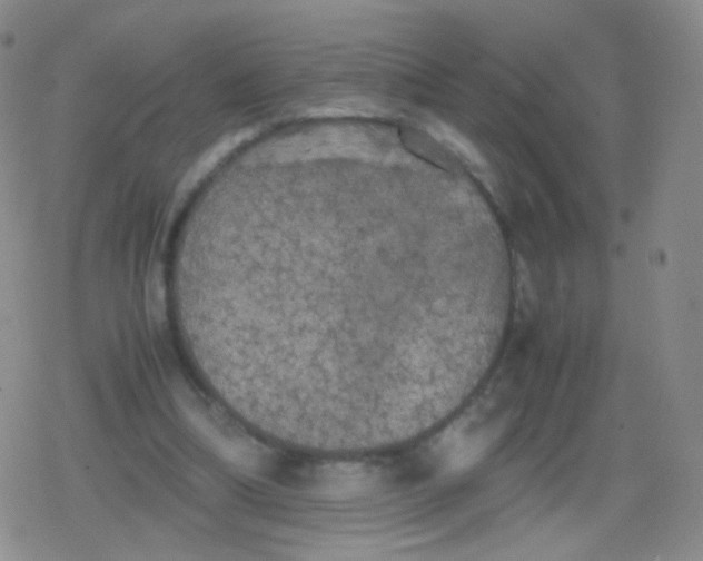 X0000079320298200612081941