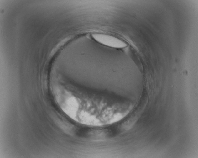 X0000079320299200612081941