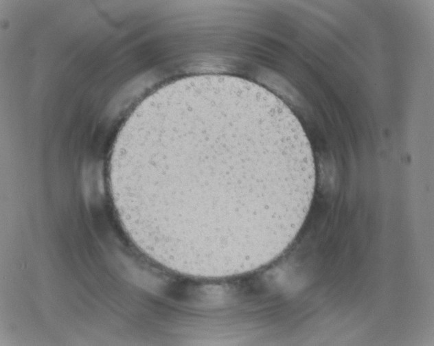 X0000079320302200612081941