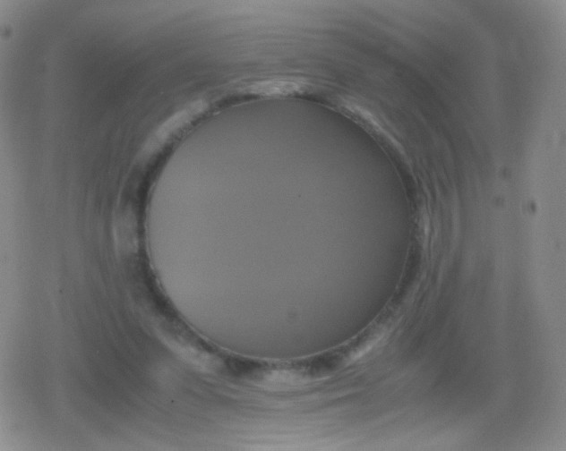 X0000079320303200612081941