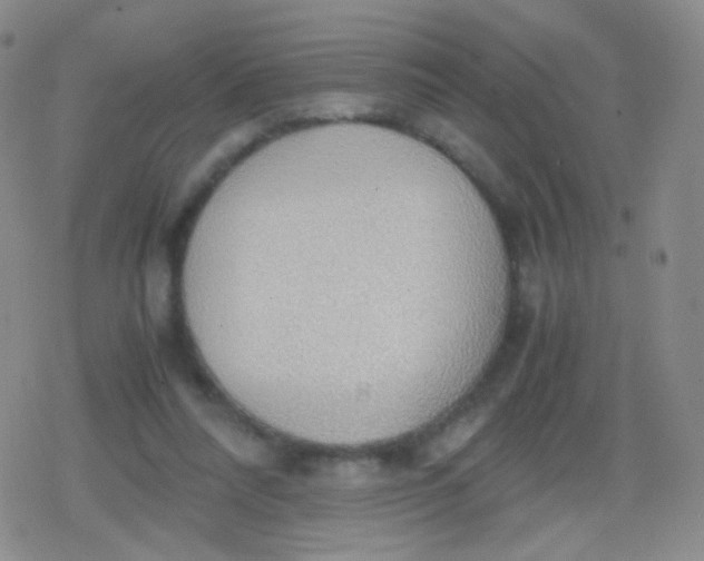 X0000079320304200612081941