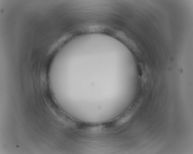 X0000079320306200612081941