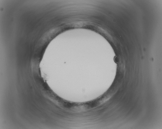 X0000079320307200612081941