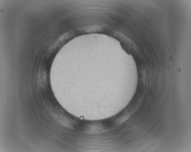 X0000079320308200612081941