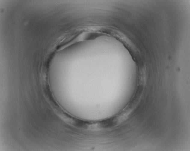 X0000079320309200612081941