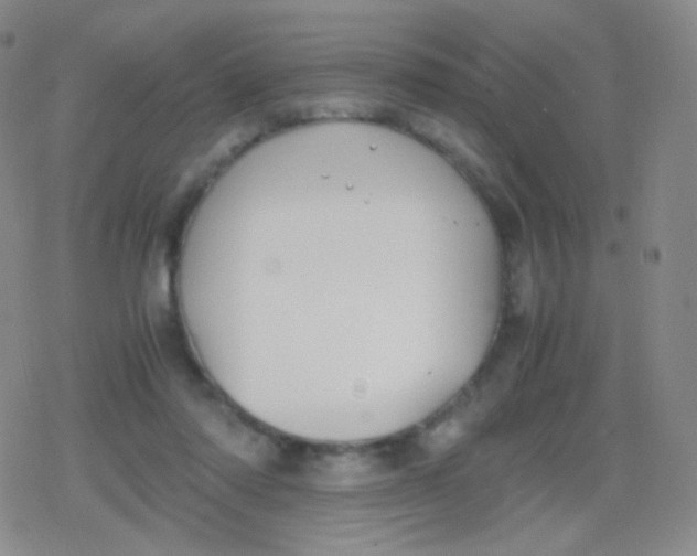 X0000079320310200612081941