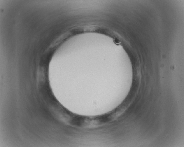 X0000079320311200612081941