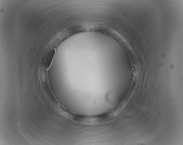 X0000079320313200612081941