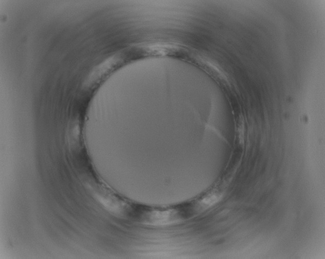 X0000079320314200612081941