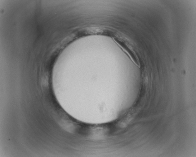 X0000079320315200612081941