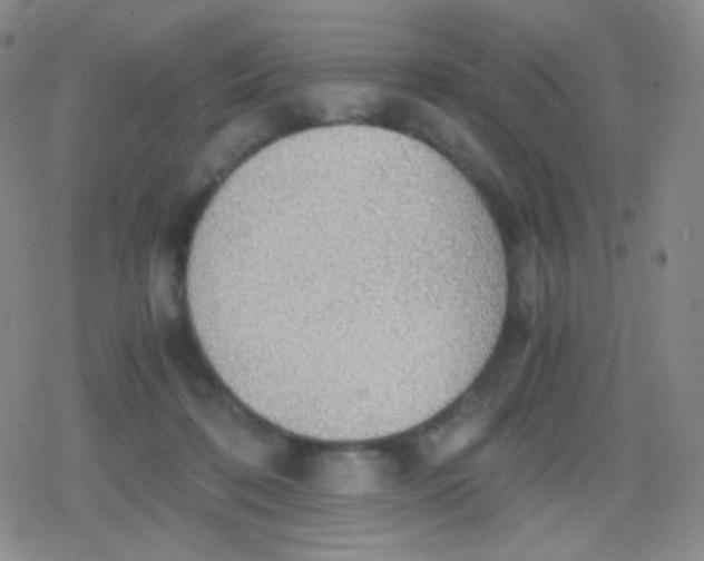 X0000079320316200612081941