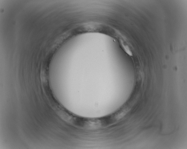 X0000079320317200612081941