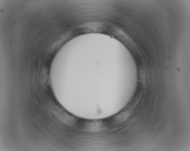 X0000079320318200612081940