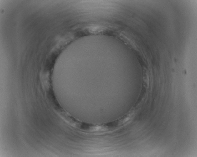 X0000079320319200612081940