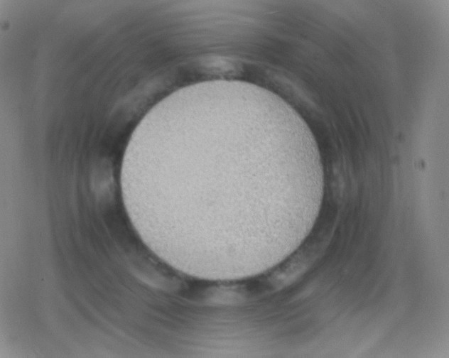 X0000079320320200612081940