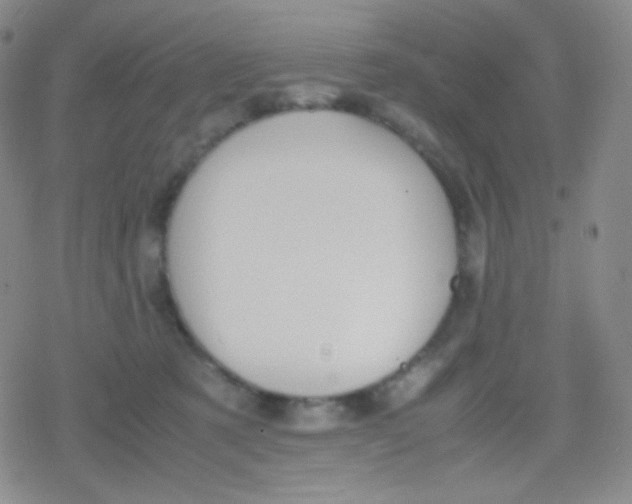 X0000079320321200612081940