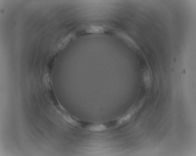 X0000079320322200612081940