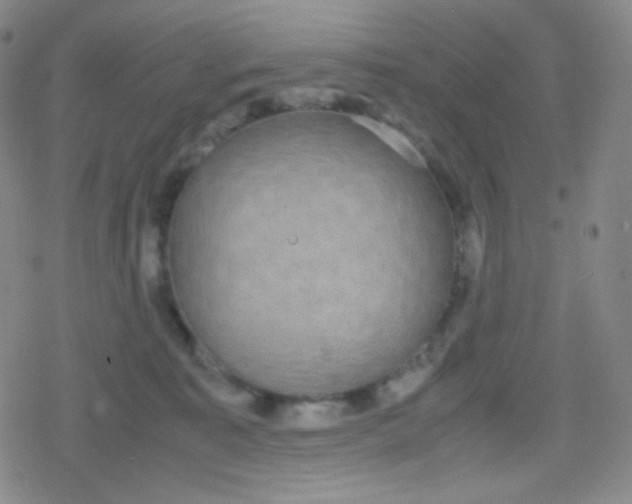 X0000079320323200612081940