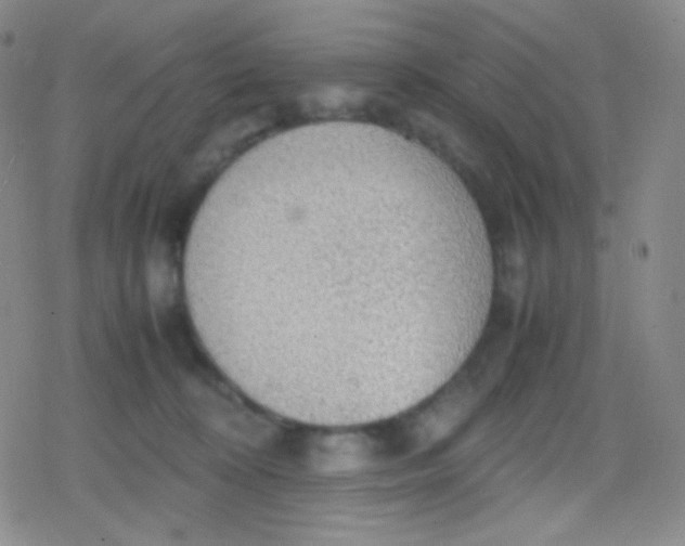 X0000079320324200612081940