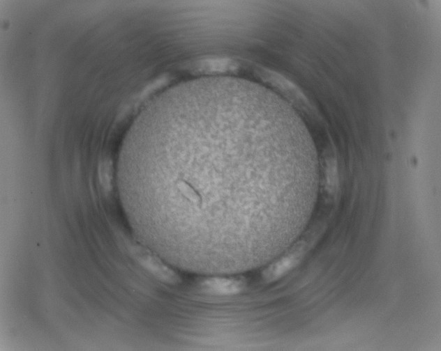 X0000079320326200612081940