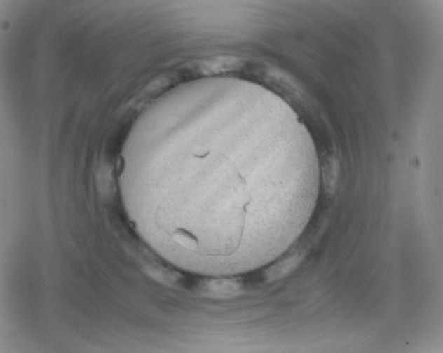 X0000079320327200612081940