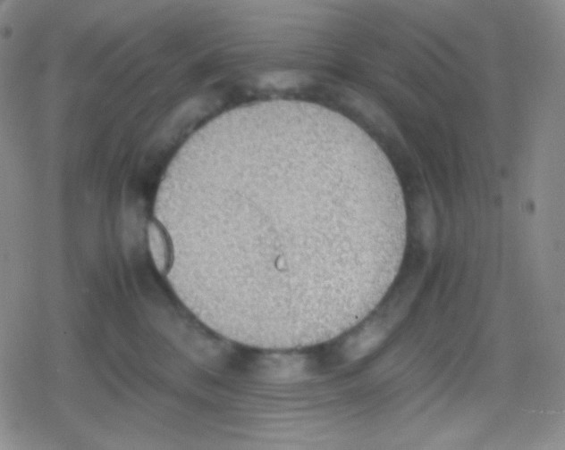 X0000079320328200612081940