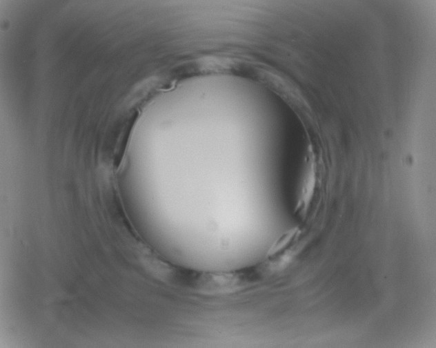 X0000079320329200612081940