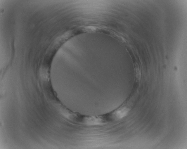 X0000079320331200612081940