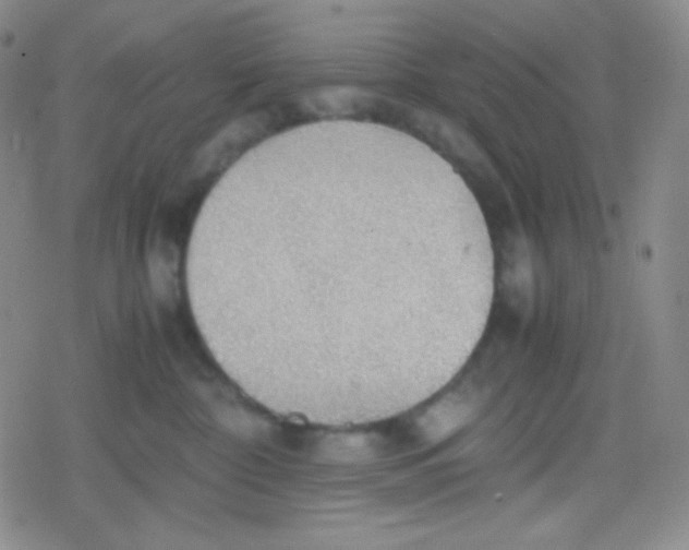 X0000079320332200612081940