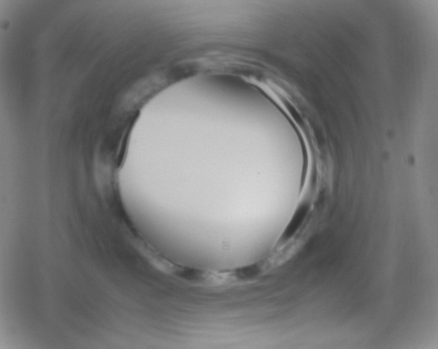 X0000079320333200612081940