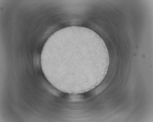 X0000079320336200612081940