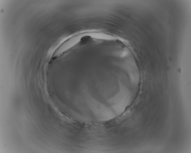 X0000079320337200612081939