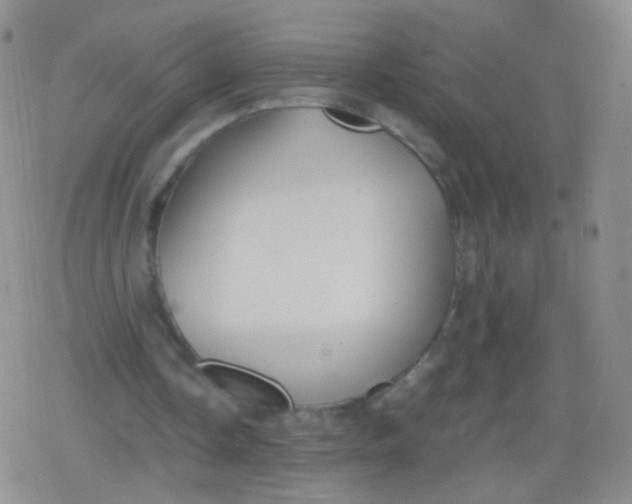 X0000079320338200612081939