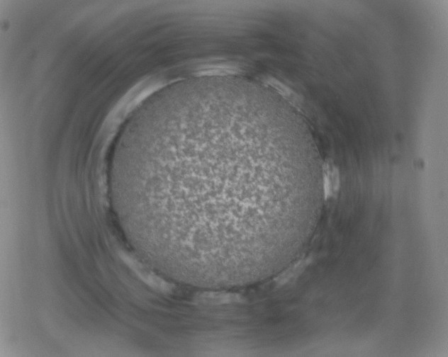 X0000079320339200612081939